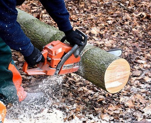 tree trunk being chopped into pieces