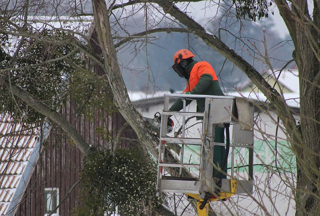 men with chainsaw cutting tree in emergency